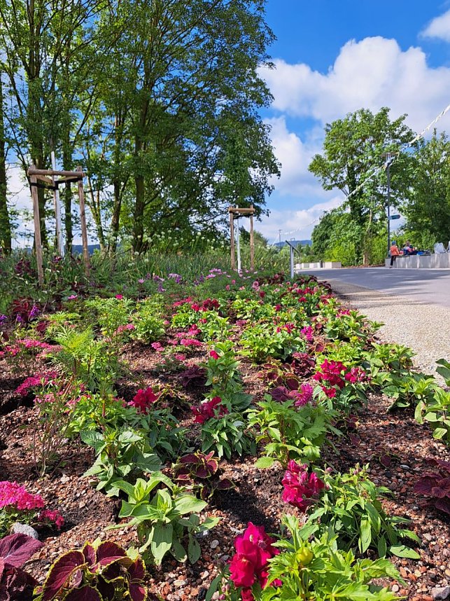 Vorbereitungen f&uuml;r den Sommerflor auf der Landesgartenschau