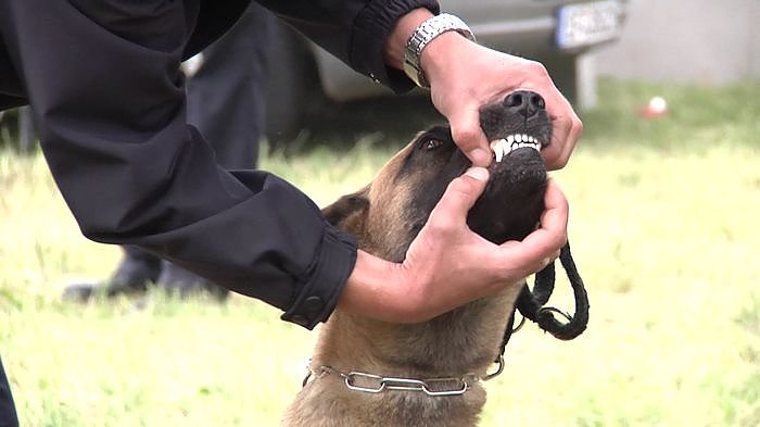 Offene T&uuml;ren bei der Polizei