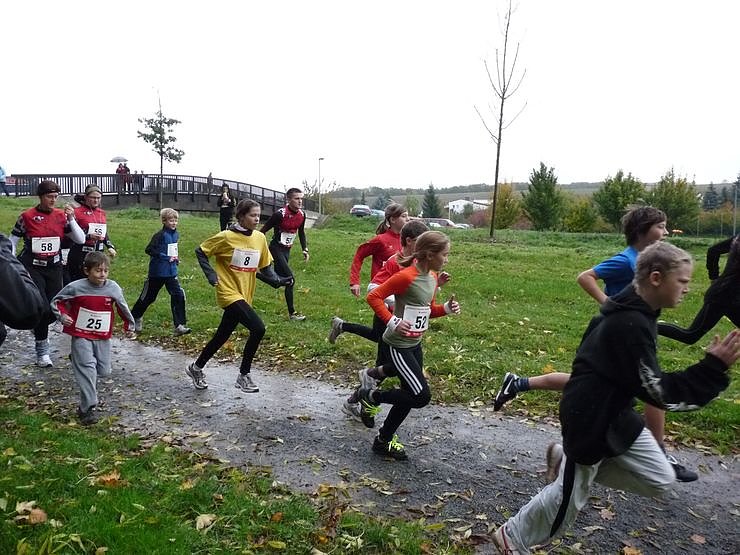 Stadtparklauf Sondershausen